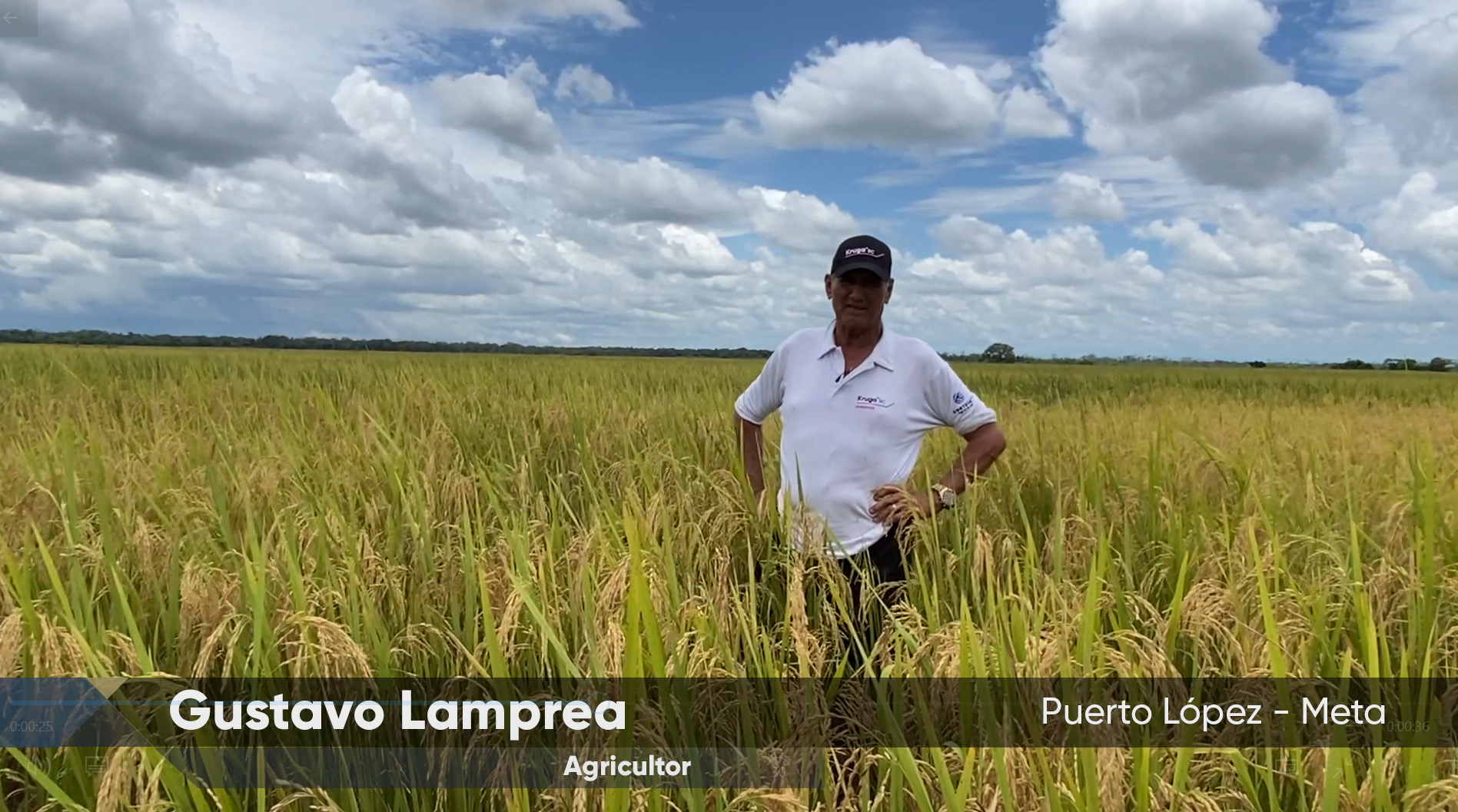 1TESTIMONIO TRIUMPH ALTA